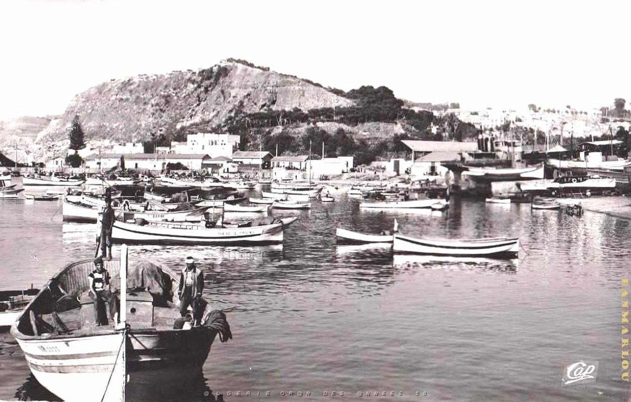 Beni saf 166.jpg